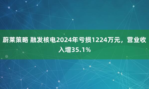 蔚莱策略 融发核电2024年亏损1224万元，营业收入增35.1%